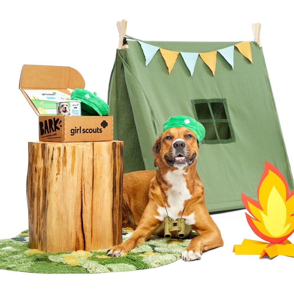 Girl Scouts X BARK Box
